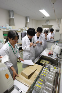 ***